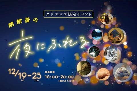 閉館後の夜にふれる　入館券