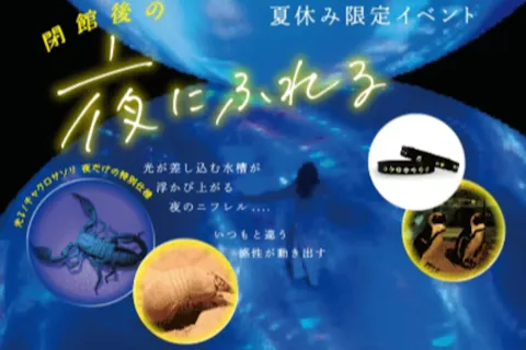 閉館後の夜にふれる