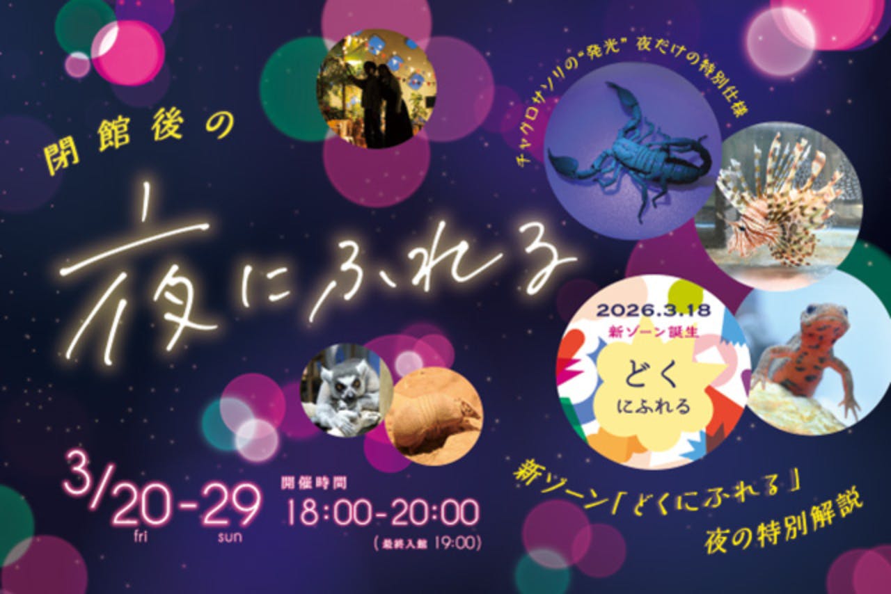 閉館後の夜にふれる