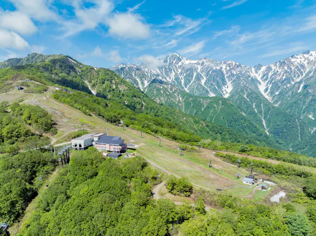白馬五竜高山植物園