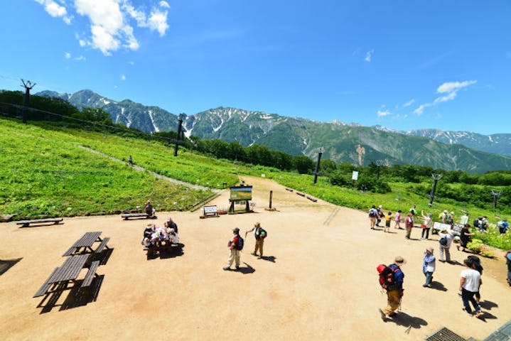 白馬五竜高山植物園