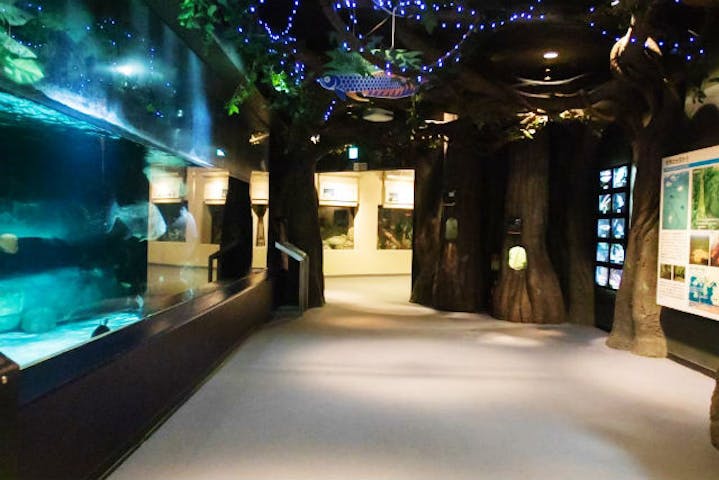 しながわ水族館 割引チケット クーポンならアソビュー しながわ水族館 割引チケット クーポンならアソビュー