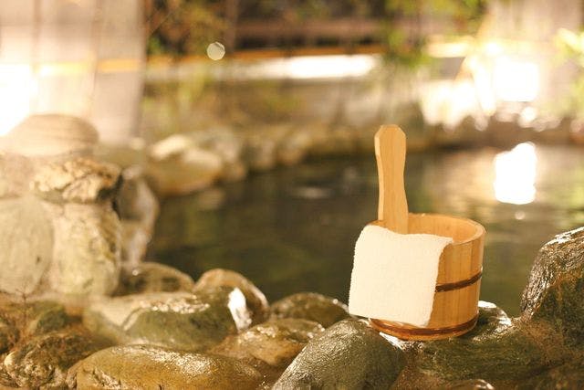 最終値下げ❗️野口医学研究所品質推奨品　温浴器　　匠の湯 130円割引】りんくうの湯 クーポン（入浴料＋レンタルタオルセット＋