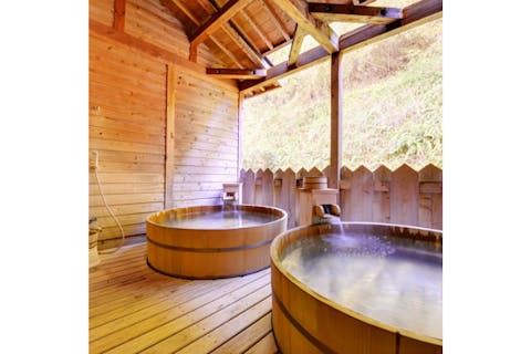 【200円割引】現代の秘湯「トロンの湯」で癒やされる ホテルレシーア南知多日帰り温泉 チケット