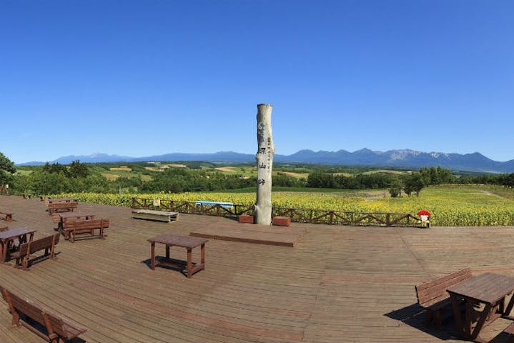 深山峠アートパーク 割引チケット クーポンならアソビュー 深山峠アートパーク 割引チケット クーポンならアソビュー