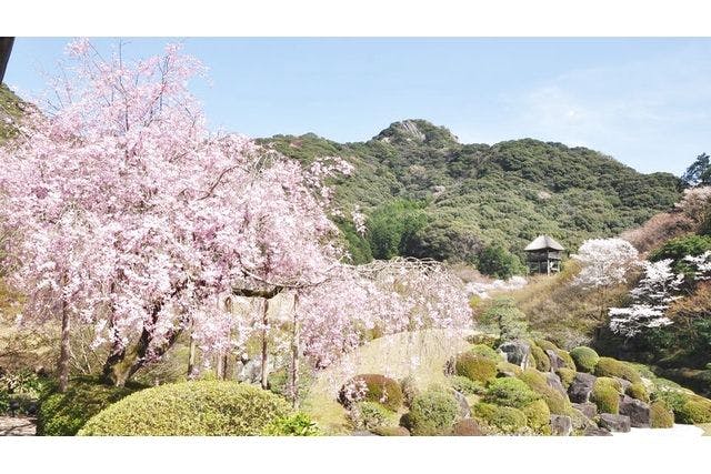 陽光美術館・日本庭園 慧洲園 前売り電子チケット（庭園入園＋限定ポストカード）