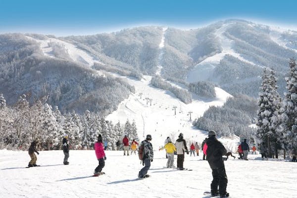 20%割引】スキージャム勝山｜割引チケット・クーポンなら