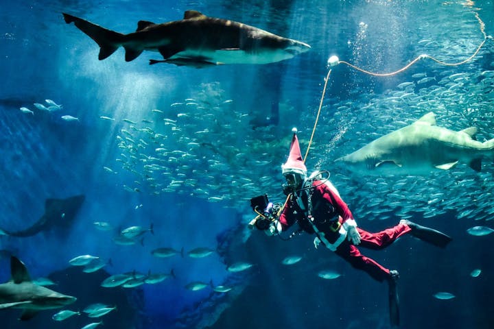 マリンワールド海の中道