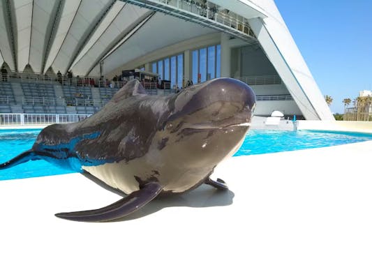 マリンワールド海の中道の前売りチケット・割引情報 - アソビュー！