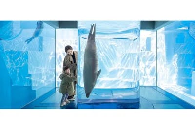 マリンワールド海の中道 額縁マグネット(ぜんぶリロ 第2弾