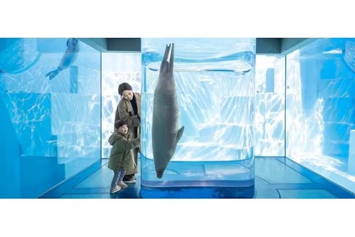 マリンワールド海の中道