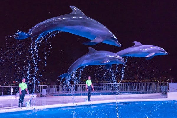 福岡市 博多駅周辺 天神周辺 の遊園地 テーマパーク 公園 一覧 遊び予約 レジャークーポン アソビュー