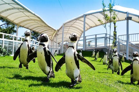 福岡市 博多駅周辺 天神周辺 水族館 その他の遊び体験 アソビュー 休日の便利でお得な遊び予約サイト