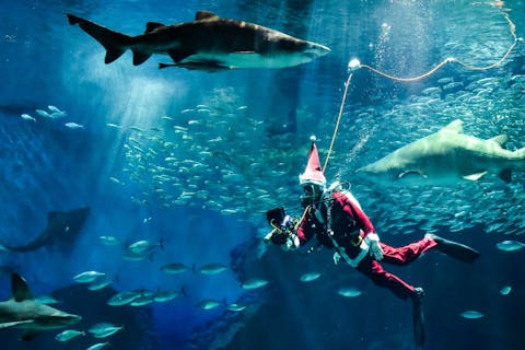 超特割！【最大14％割引】福岡・マリンワールド海の中道　WEB入場チケット　※2023年7月～