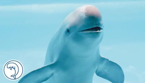 超特割！【最大14％割引】福岡・マリンワールド海の中道　WEB入場チケット　※2023年7月～