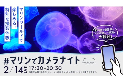 【2月14日(土)】福岡・マリンワールド海の中道　マリンでカメラナイト