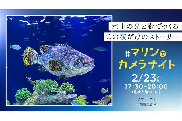 2月23日(金祝)】福岡・マリンワールド海の中道 マリンでカメラナイト