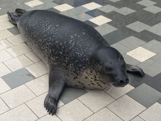 超特割！【6％割引】福岡・マリンワールド海の中道 WEB入場チケット