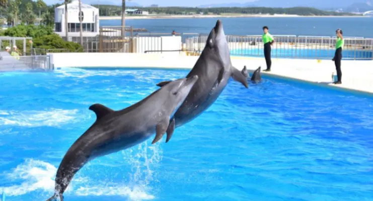超特割！【6％割引】福岡・マリンワールド海の中道 WEB入場チケット