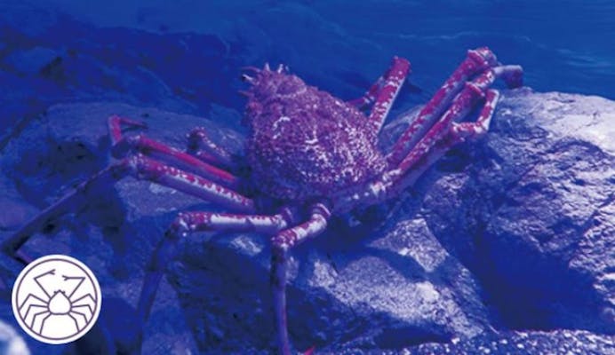 超特割！【6％割引】福岡・マリンワールド海の中道 WEB入場チケット