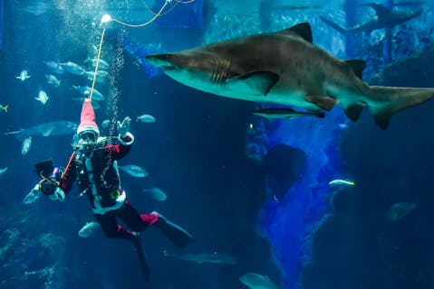 超特割！【13％割引】福岡・マリンワールド海の中道　WEB入場チケット（大人+小学生・中学生ペア券）