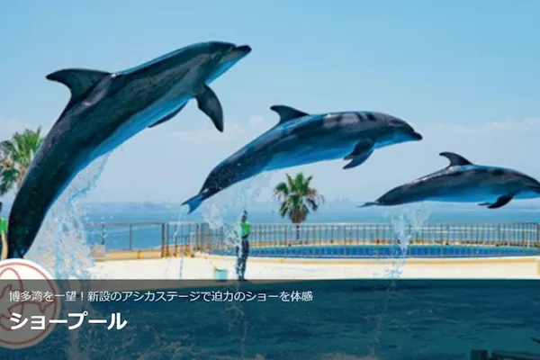 超特割！【13％割引】福岡・マリンワールド海の中道 WEB入場チケット