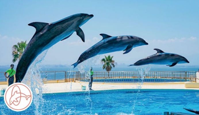 超特割！【13％割引】福岡・マリンワールド海の中道 WEB入場チケット