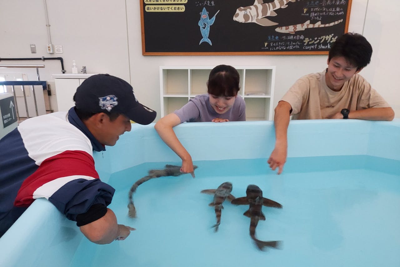 マリンワールド海の中道のチケット購入・予約