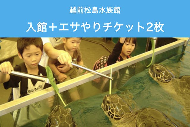 【当日券】越前松島水族館　入館券＋エサやりチケット2枚