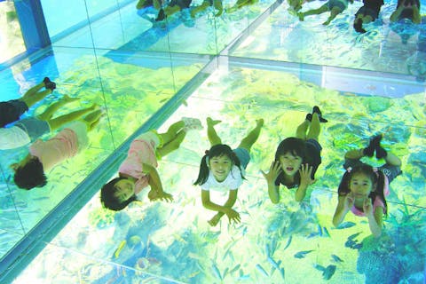 超特割！【20％割引※利用日前日までの購入】みてふれて 楽しく学べる！越前松島水族館 入館チケット