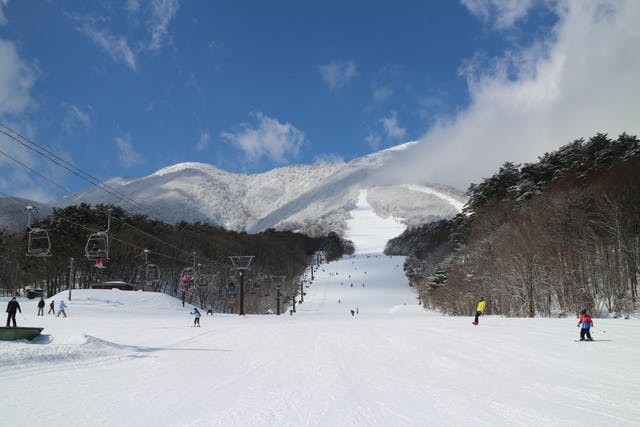 売れ筋 いいづなリゾートスキー場１日券引換券