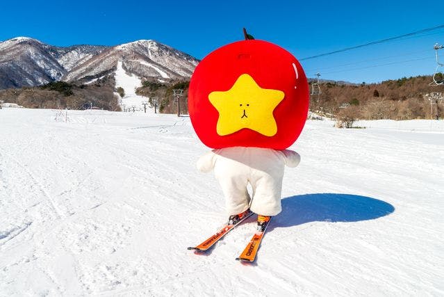 いいづなリゾートスキー場《デイタイム1日リフト券》