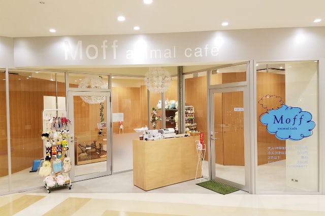 Moff animal cafe MARKIS 福岡ももち店
