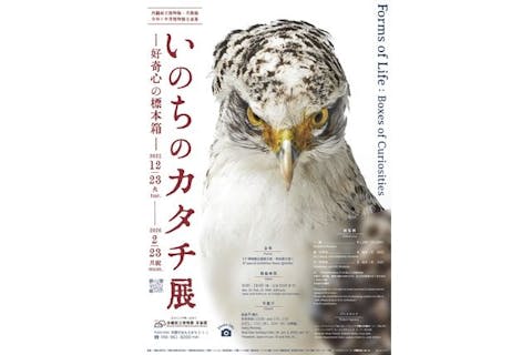 【前売券】令和７年度 博物館企画展 いのちのカタチ展－好奇心の標本箱－