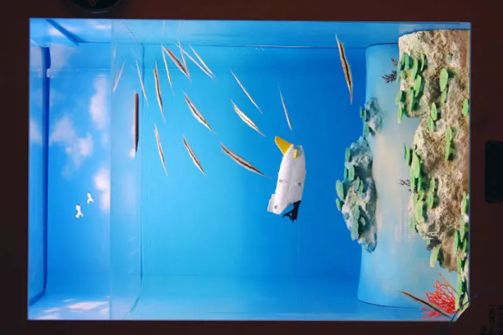 13 割引 ヨコハマおもしろ水族館 割引チケット クーポンならアソビュー