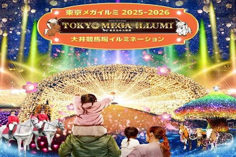 【日付指定券】東京メガイルミ 入場チケット ※時期により金額が変動します。
