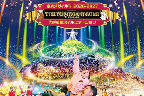 【日付指定券】東京メガイルミ 入場チケット ※時期により金額が変動します。