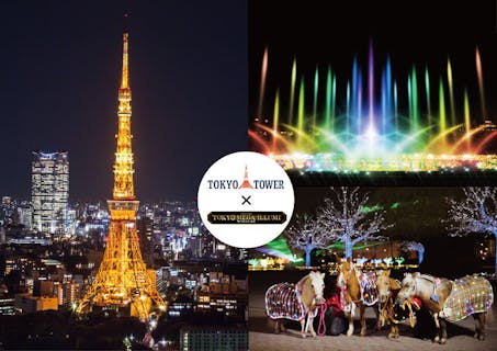 【数量・期間限定】 東京タワー(メインデッキ)× 東京メガイルミコラボチケット