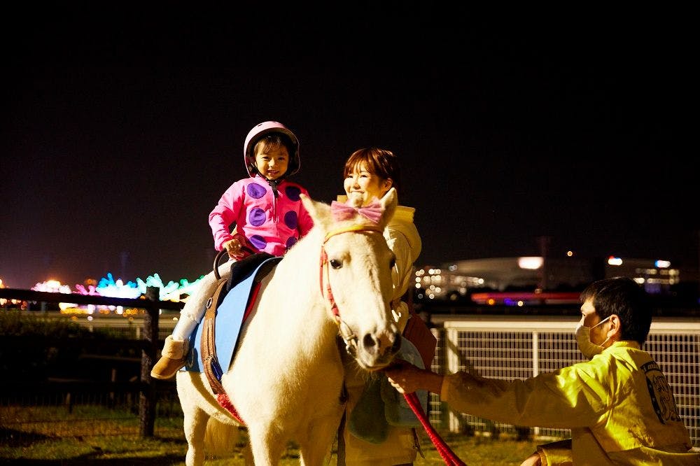 【数量・日時限定】東京メガイルミ ポニー［乗馬］体験 ※別途入場券必要 雨天時等は中止