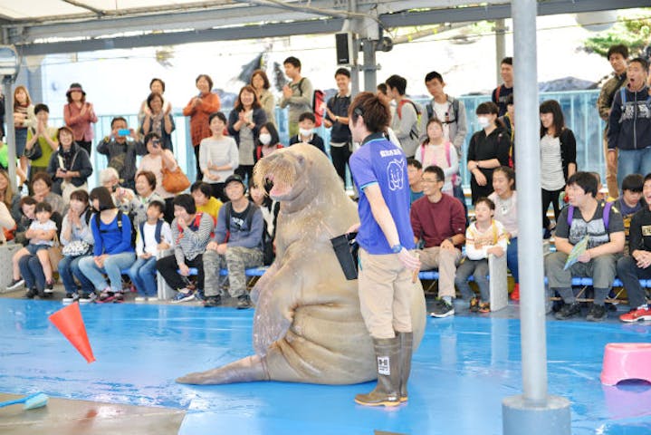 鳥羽水族館