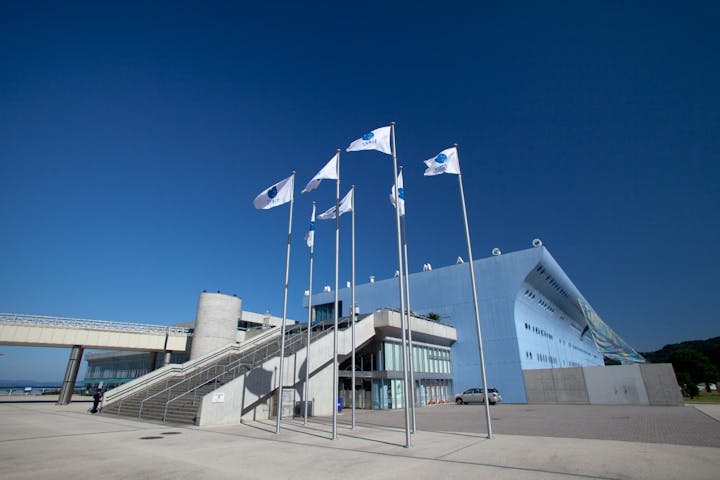 大分マリーンパレス水族館 「うみたまご」
