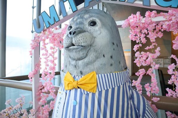 最大150円割引】大分マリーンパレス水族館 「うみたまご」 WEBチケット