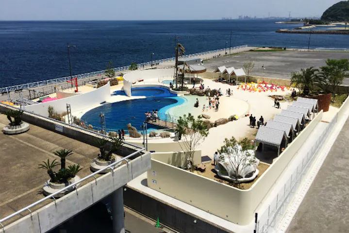 4 割引 大分マリーンパレス水族館 うみたまご 割引チケット クーポンならアソビュー