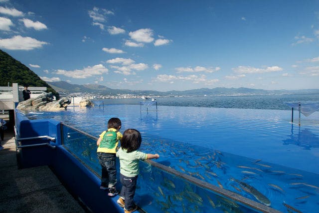 最大150円割引】大分マリーンパレス水族館 「うみたまご」 WEBチケット（入館）｜アソビュー！