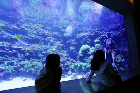 九州 おすすめ水族館まとめ 割引クーポンも充実 アソビュー