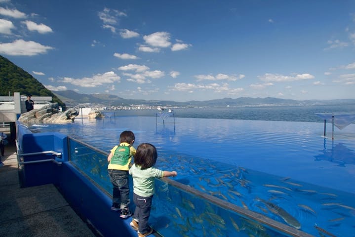 4 割引 大分マリーンパレス水族館 うみたまご 割引チケット クーポンならアソビュー 4 割引 大分マリーンパレス水族館 うみたまご 割引チケット クーポンならアソビュー