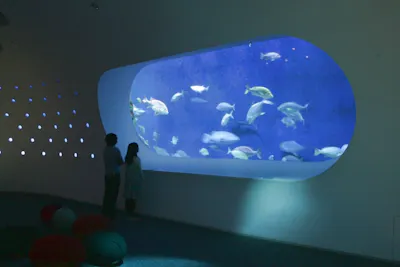 超特割 平日 22 割引 大人 高校生以上 ペアチケット 大分マリーンパレス水族館 うみたまご アソビュー