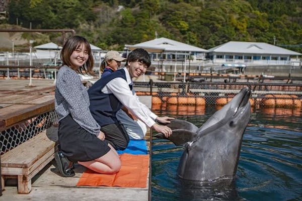 50円割引】うみたま体験パーク 「つくみイルカ島」 WEBチケット（入場
