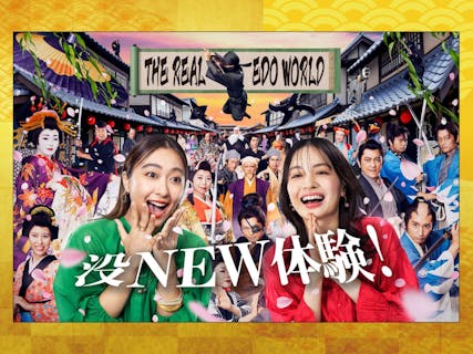 【10/25.26使用可能】東映太秦映画村　入場券