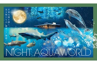 新作♡アフガナイト♡、ふんわりグリーンアクアマリン、ホワイト千層ガーデン 商品詳細ページ